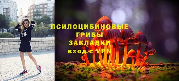 марки lsd Дмитриев