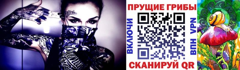 Галлюциногенные грибы мицелий Купить Ковров